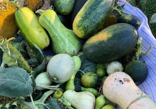 Région des Sources - Abolandia traiteur courges - Point d'intéret
