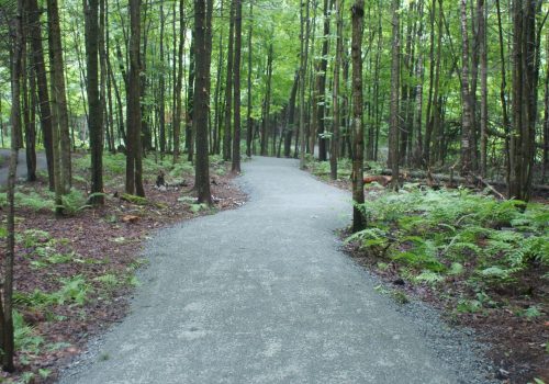 Région des Sources - DSC07351 - Point d'intéret