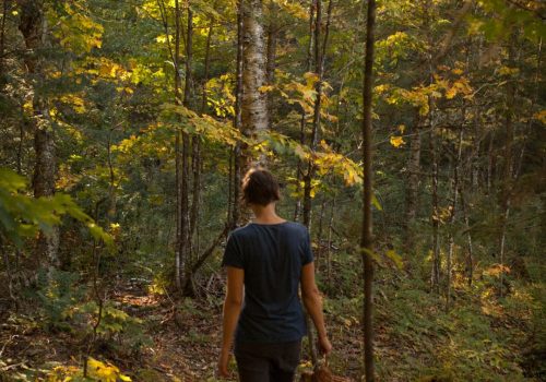 Lacueillette - Point d'intéret