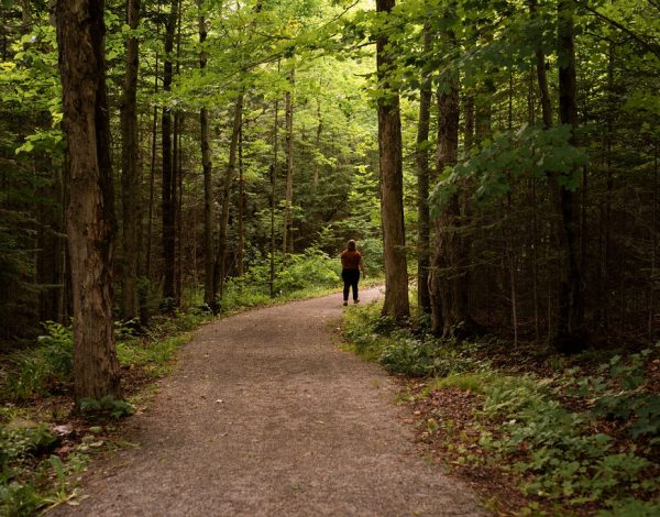PARC-DES-ERABLES-01.jpg