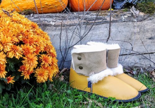 Région des Sources - Pantoufles Garneau 2020 - Point d'intéret