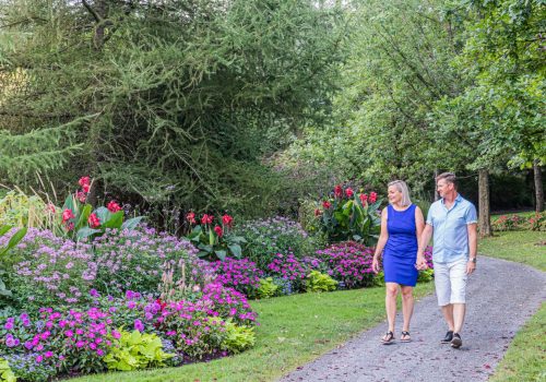 Parc_Marie.Victorin-min